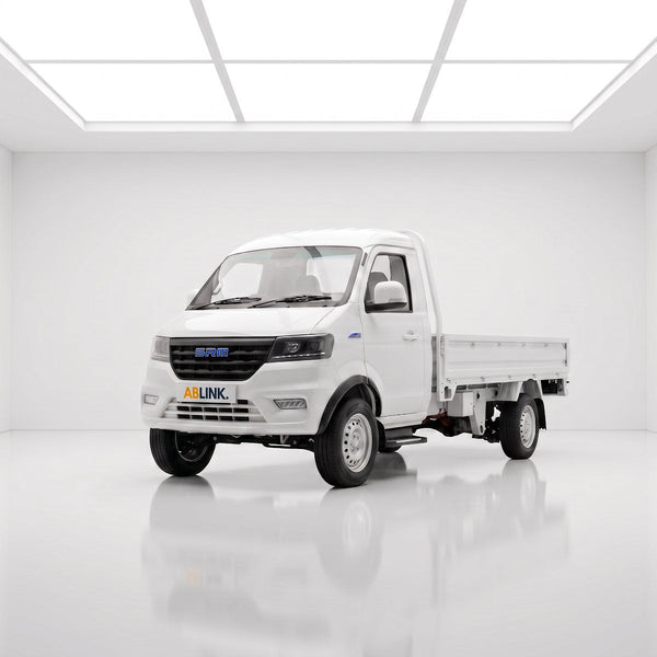 G plate vs Y plate 10ft electric lorry in Singapore: SRM T3EV